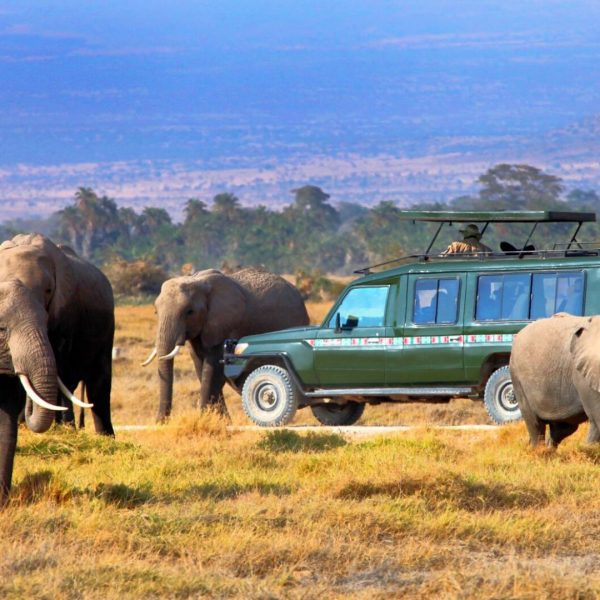 3 Days 2 Nights Masai Mara Safari- Group Joining