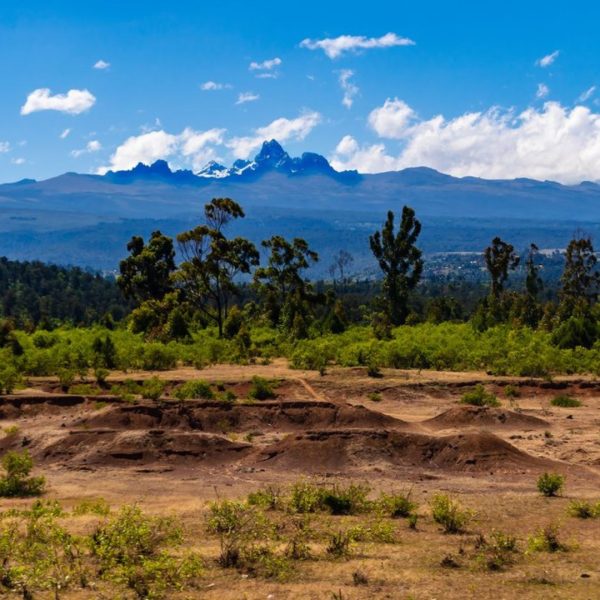 Mt. Kenya Trekking: 6 Days In Chogoria – Out Timau Route